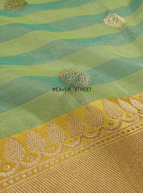 Green Cotton Tissue Handwoven Banarasi Saree with round kadwa buta (2) detail