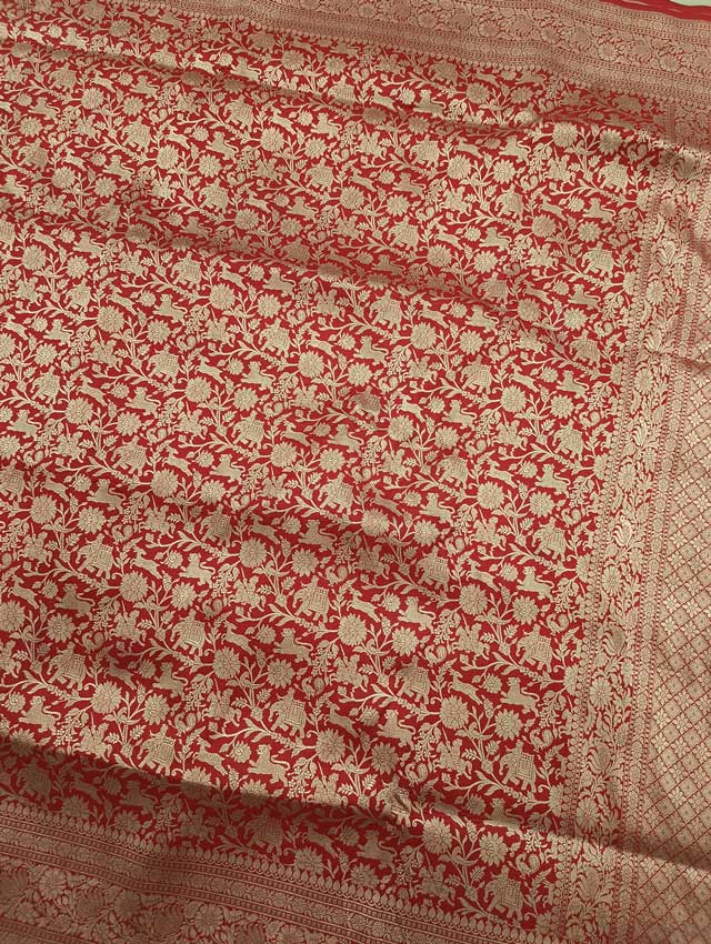 Red Katan silk Handwoven Banarasi saree with Shikargah jaal  4 center
