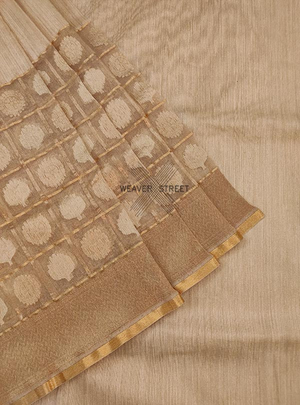 Beige dupion silk handwoven Banarasi saree with tissue skirt  (3) Close up