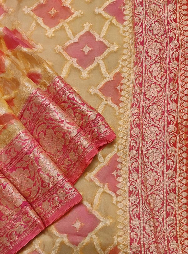 Beige multi color chiffon Banarasi saree with hand painted rangkaat work (2) close up