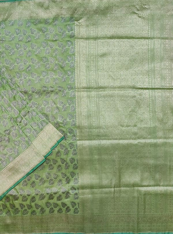 Pista green katan silk handloom Banarasi saree with money plant jaal (1) main