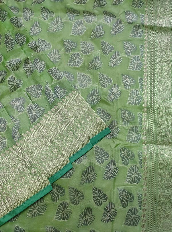 Pista green katan silk handloom Banarasi saree with money plant jaal (2) close up