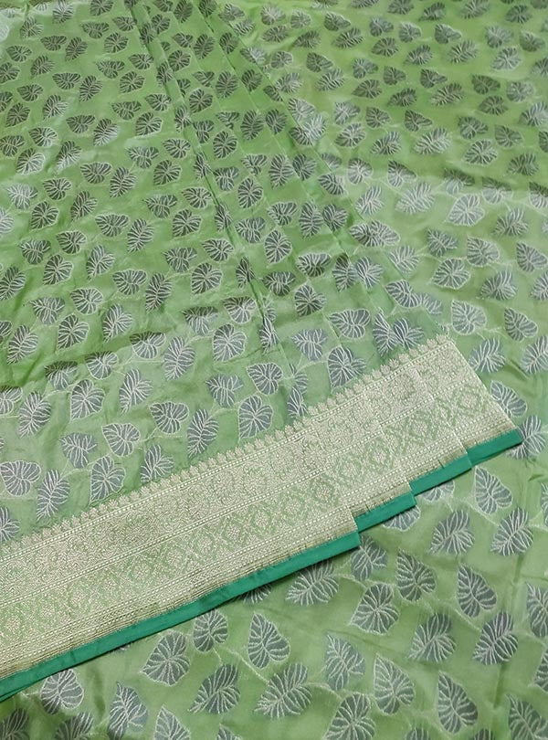 Pista green katan silk handloom Banarasi saree with money plant jaal (3) center